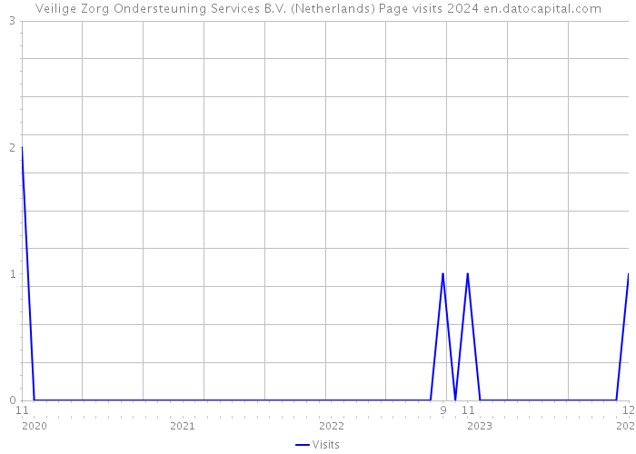 Veilige Zorg Ondersteuning Services B.V. (Netherlands) Page visits 2024 