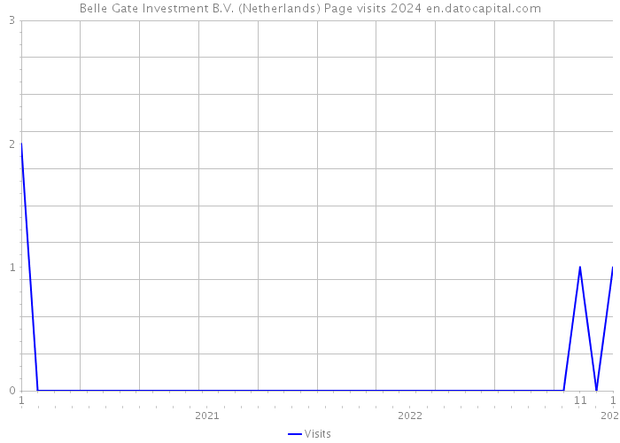 Belle Gate Investment B.V. (Netherlands) Page visits 2024 