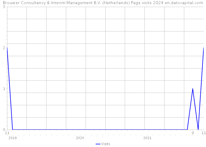 Brouwer Consultancy & Interim Management B.V. (Netherlands) Page visits 2024 