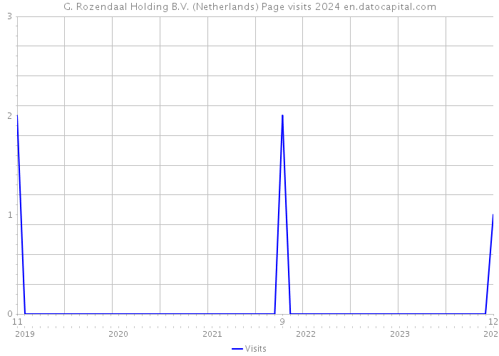 G. Rozendaal Holding B.V. (Netherlands) Page visits 2024 