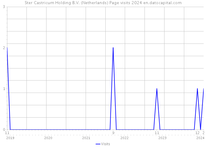 Ster Castricum Holding B.V. (Netherlands) Page visits 2024 