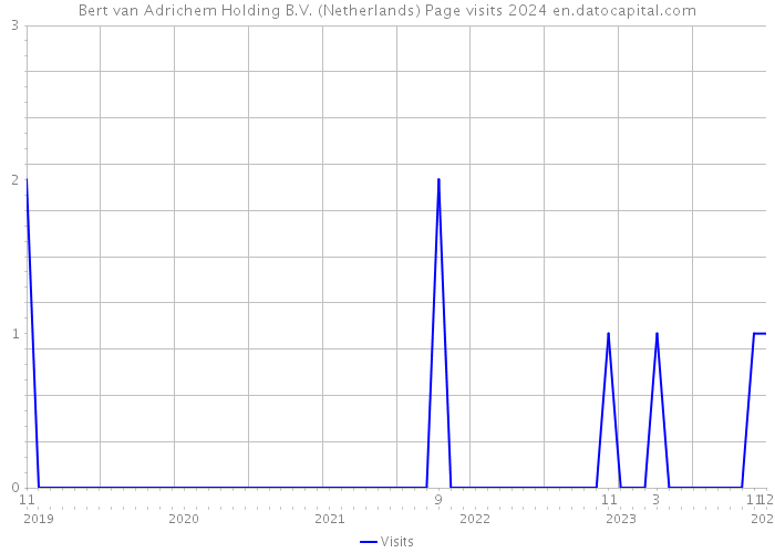 Bert van Adrichem Holding B.V. (Netherlands) Page visits 2024 