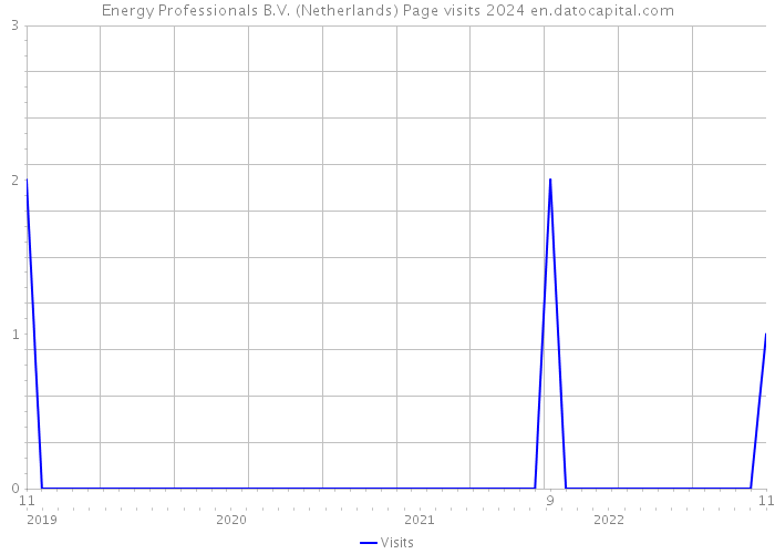 Energy Professionals B.V. (Netherlands) Page visits 2024 