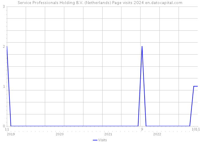 Service Professionals Holding B.V. (Netherlands) Page visits 2024 