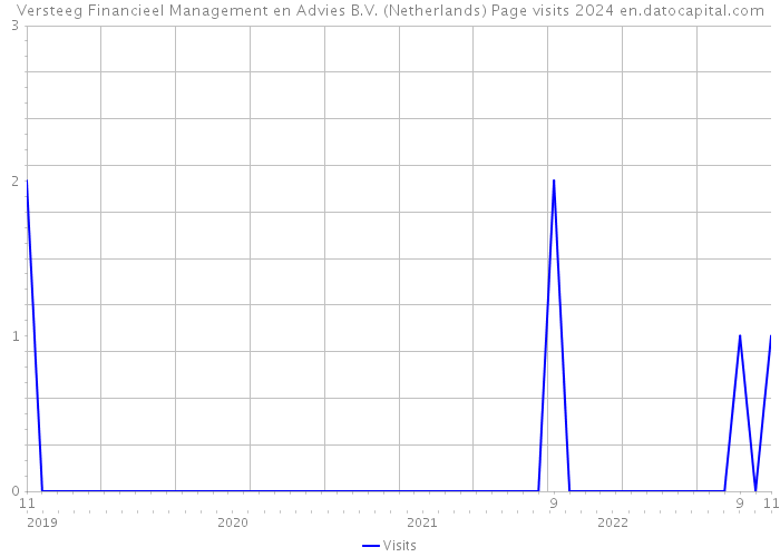 Versteeg Financieel Management en Advies B.V. (Netherlands) Page visits 2024 