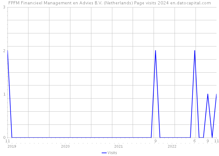 FPFM Financieel Management en Advies B.V. (Netherlands) Page visits 2024 