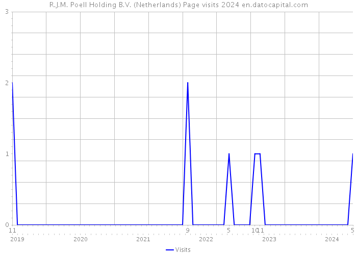R.J.M. Poell Holding B.V. (Netherlands) Page visits 2024 