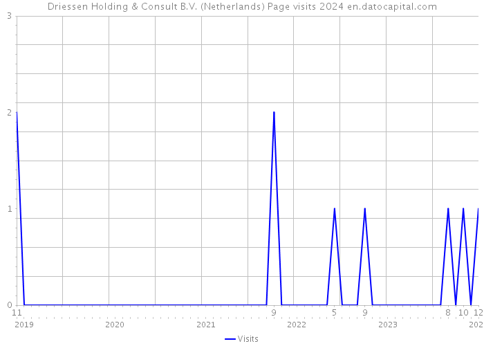 Driessen Holding & Consult B.V. (Netherlands) Page visits 2024 