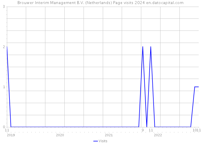 Brouwer Interim Management B.V. (Netherlands) Page visits 2024 
