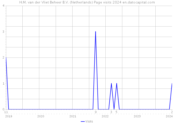 H.M. van der Vliet Beheer B.V. (Netherlands) Page visits 2024 