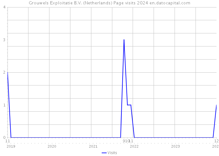Grouwels Exploitatie B.V. (Netherlands) Page visits 2024 