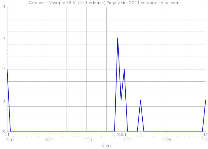 Grouwels Vastgoed B.V. (Netherlands) Page visits 2024 