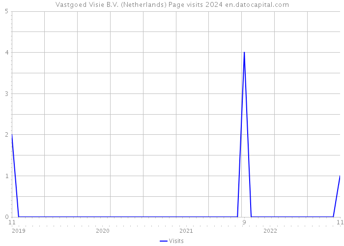 Vastgoed Visie B.V. (Netherlands) Page visits 2024 