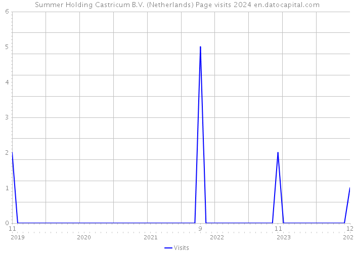 Summer Holding Castricum B.V. (Netherlands) Page visits 2024 