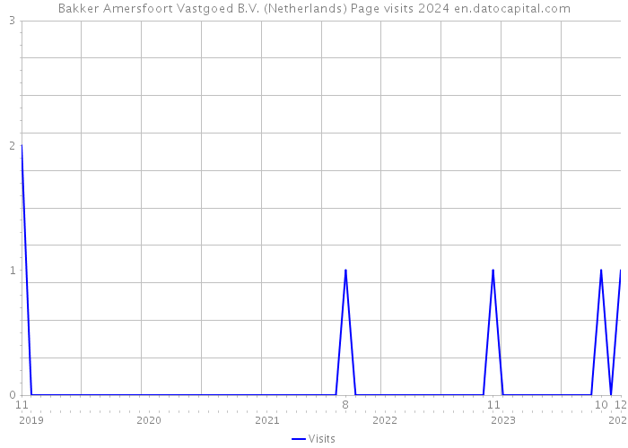 Bakker Amersfoort Vastgoed B.V. (Netherlands) Page visits 2024 