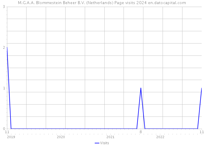 M.G.A.A. Blommestein Beheer B.V. (Netherlands) Page visits 2024 