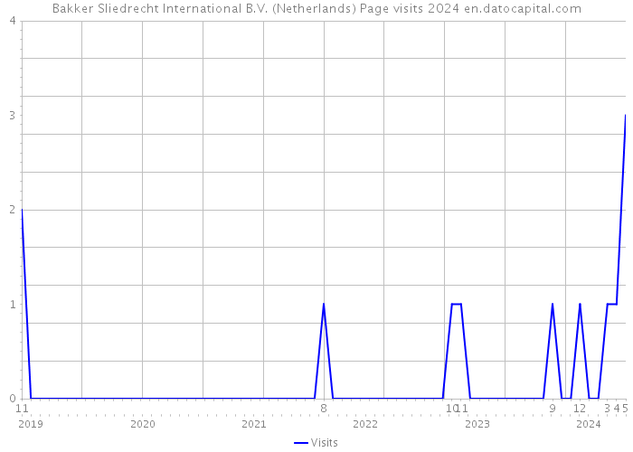 Bakker Sliedrecht International B.V. (Netherlands) Page visits 2024 
