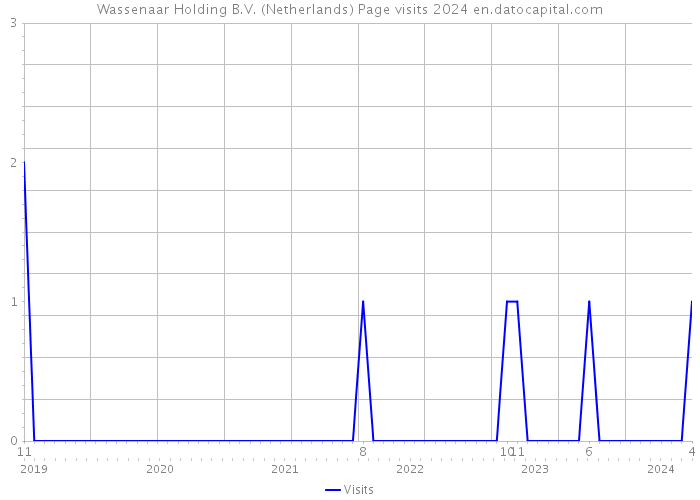 Wassenaar Holding B.V. (Netherlands) Page visits 2024 