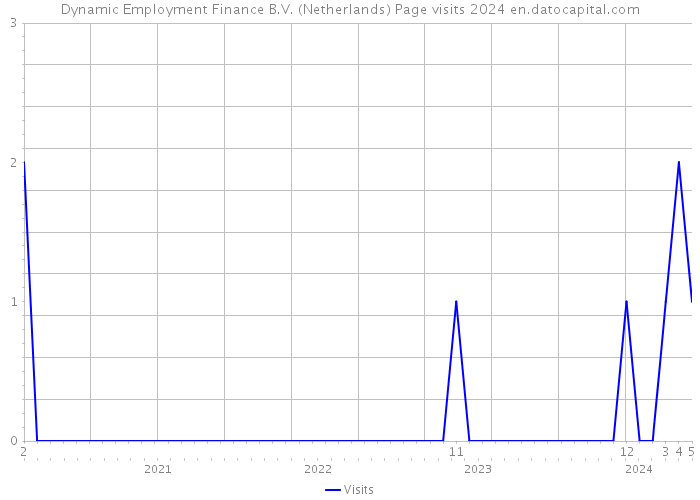 Dynamic Employment Finance B.V. (Netherlands) Page visits 2024 