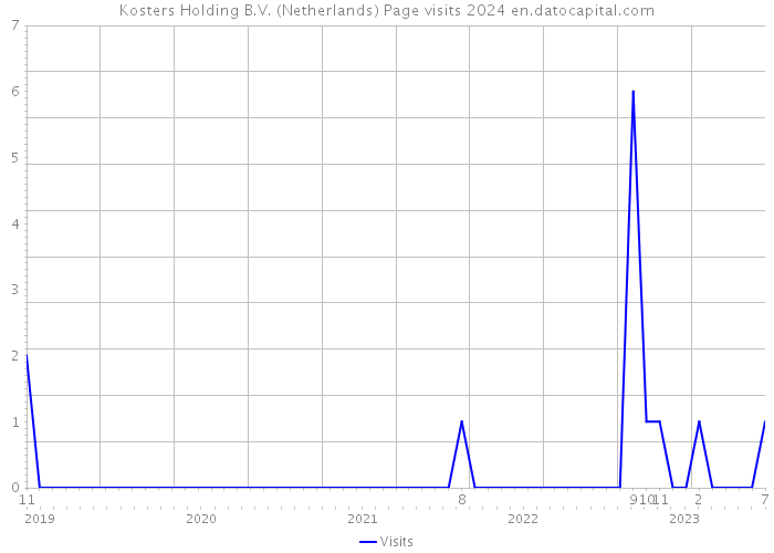 Kosters Holding B.V. (Netherlands) Page visits 2024 