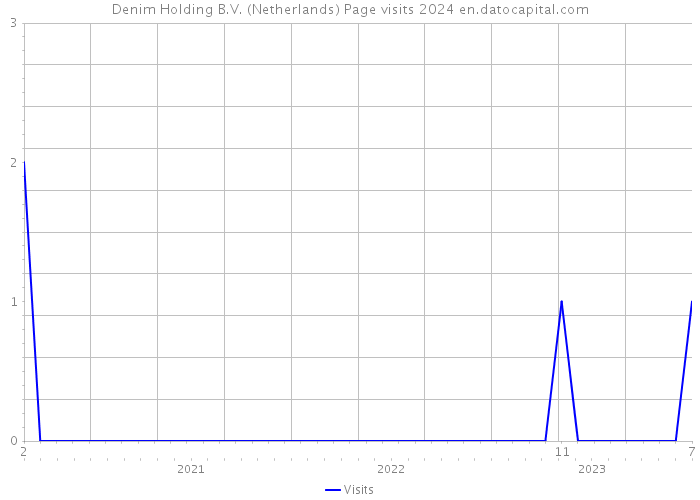 Denim Holding B.V. (Netherlands) Page visits 2024 