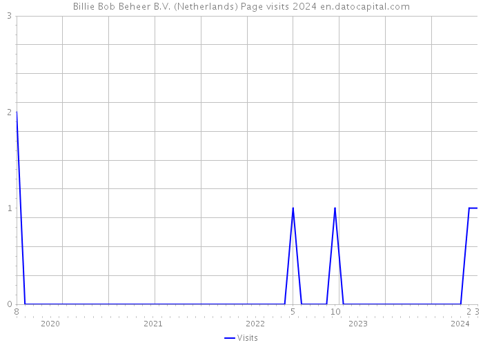 Billie Bob Beheer B.V. (Netherlands) Page visits 2024 