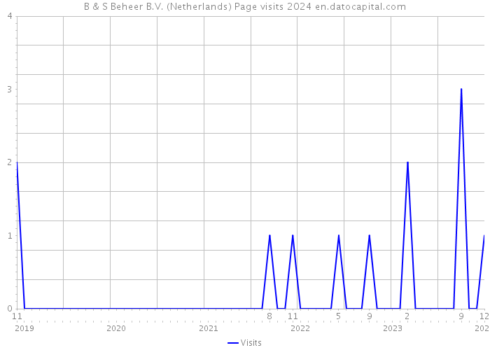 B & S Beheer B.V. (Netherlands) Page visits 2024 