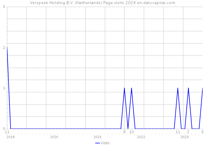 Verspeek Holding B.V. (Netherlands) Page visits 2024 