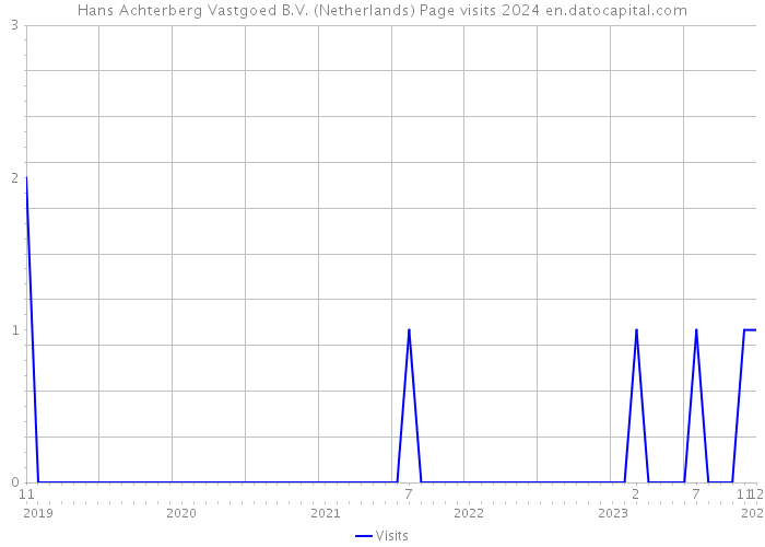Hans Achterberg Vastgoed B.V. (Netherlands) Page visits 2024 