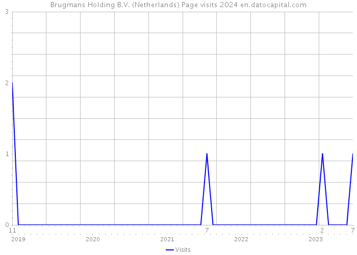 Brugmans Holding B.V. (Netherlands) Page visits 2024 