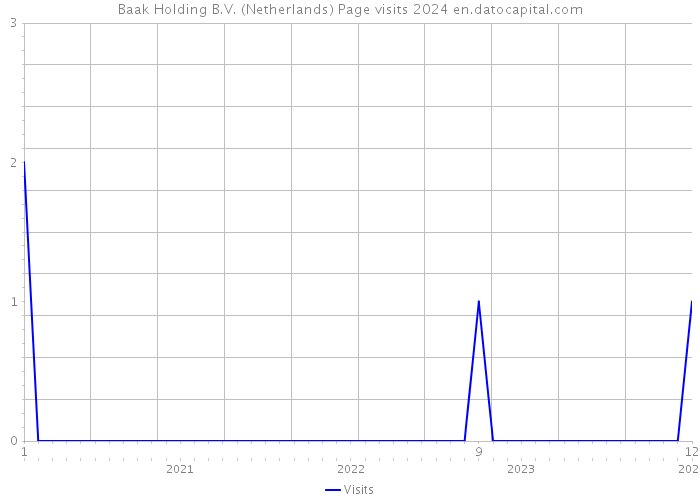 Baak Holding B.V. (Netherlands) Page visits 2024 