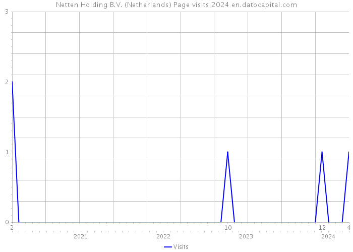 Netten Holding B.V. (Netherlands) Page visits 2024 