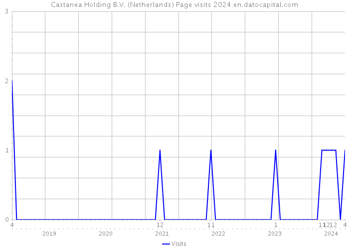 Castanea Holding B.V. (Netherlands) Page visits 2024 