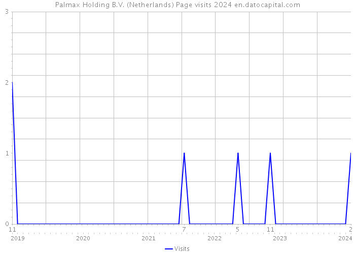 Palmax Holding B.V. (Netherlands) Page visits 2024 
