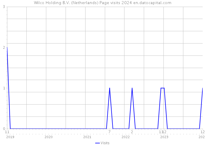 Wilco Holding B.V. (Netherlands) Page visits 2024 