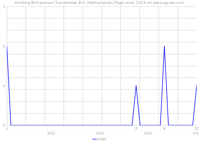 Holding Brilcentrum Tunderman B.V. (Netherlands) Page visits 2024 
