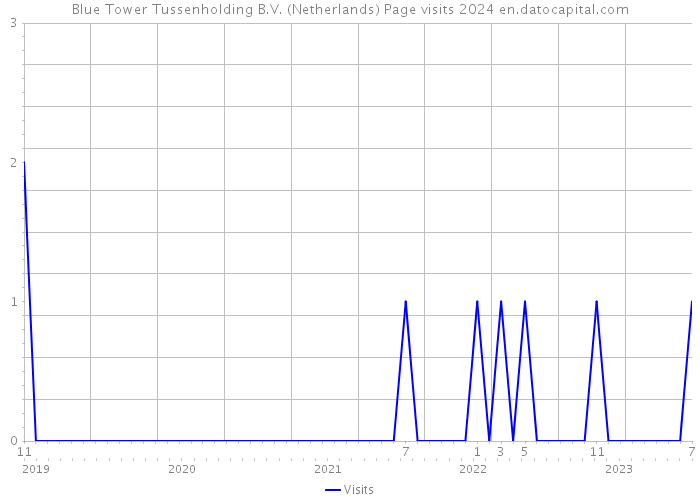 Blue Tower Tussenholding B.V. (Netherlands) Page visits 2024 