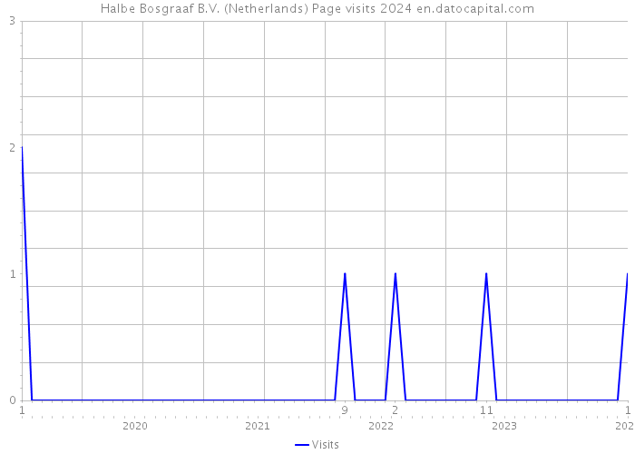 Halbe Bosgraaf B.V. (Netherlands) Page visits 2024 