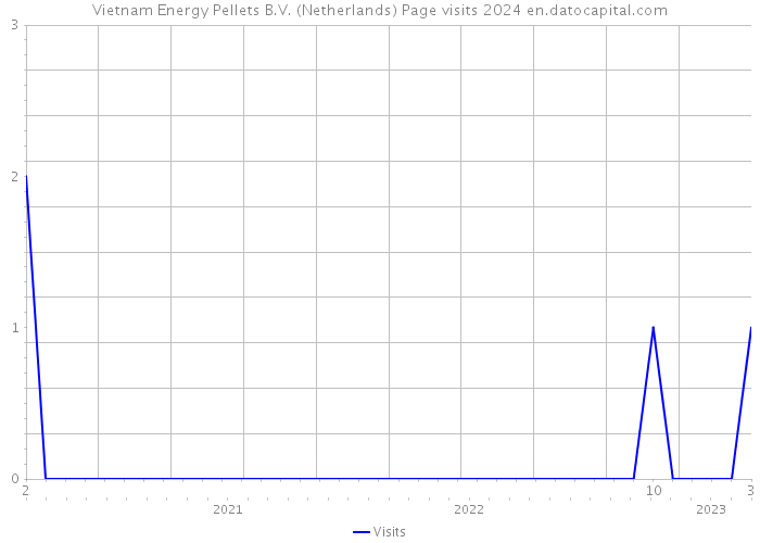 Vietnam Energy Pellets B.V. (Netherlands) Page visits 2024 