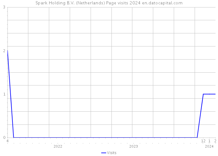 Spark Holding B.V. (Netherlands) Page visits 2024 