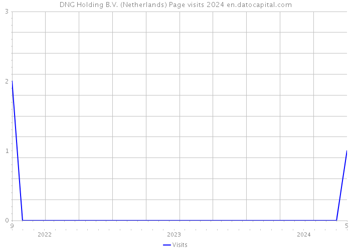 DNG Holding B.V. (Netherlands) Page visits 2024 