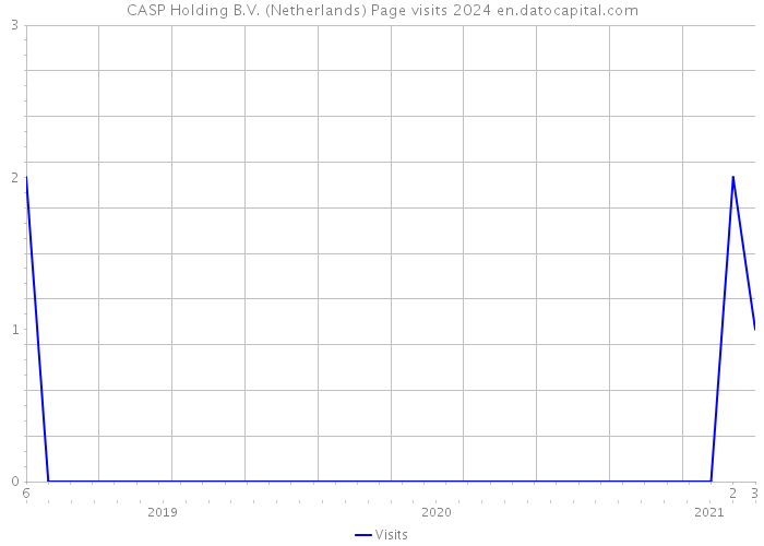 CASP Holding B.V. (Netherlands) Page visits 2024 
