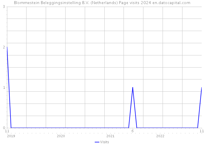 Blommestein Beleggingsinstelling B.V. (Netherlands) Page visits 2024 