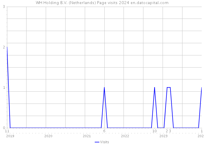 WH Holding B.V. (Netherlands) Page visits 2024 