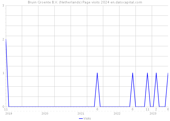 Bruin Groente B.V. (Netherlands) Page visits 2024 