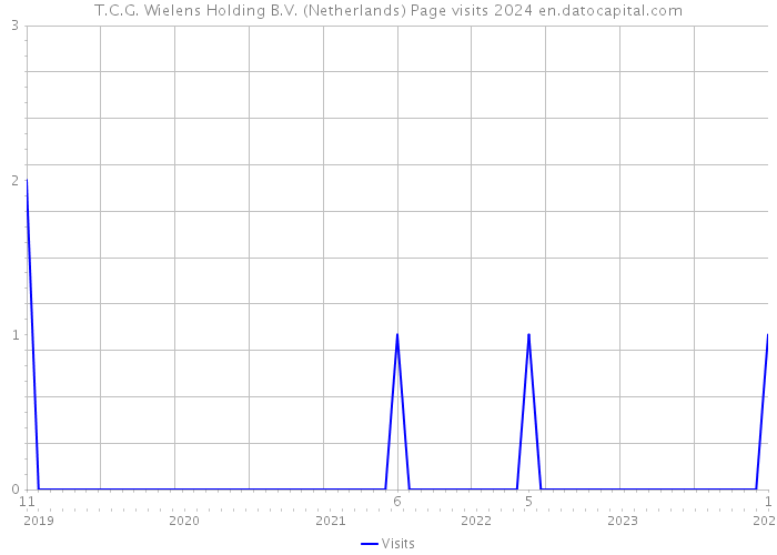 T.C.G. Wielens Holding B.V. (Netherlands) Page visits 2024 