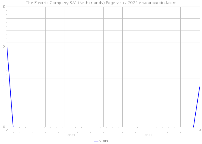 The Electric Company B.V. (Netherlands) Page visits 2024 