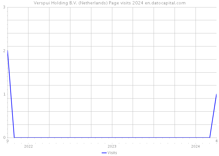 Verspui Holding B.V. (Netherlands) Page visits 2024 