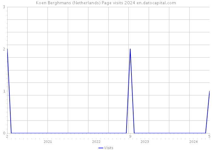 Koen Berghmans (Netherlands) Page visits 2024 