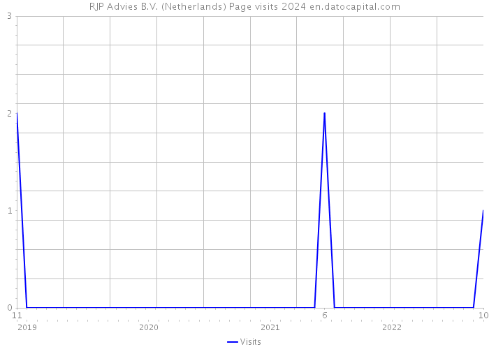 RJP Advies B.V. (Netherlands) Page visits 2024 
